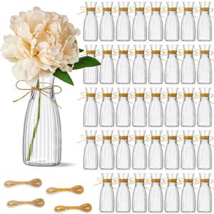 40 Pcs Plastic Bud Vases Bulk with Twine Ropes,Transparent