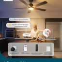 Linkind Matter 52" Smart Ceiling Fan with Lights and Remote, Black
