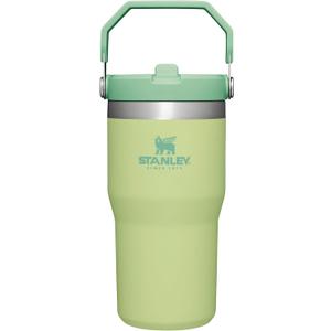 Stanley IceFlow Flip Straw Tumbler with Handle 20 oz | Twist On Lid and Flip Up Straw | Leak Resistant Water Bottle | Insulated Stainless Steel |BPA-Free | Citron