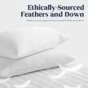 puredown Cooling Goose Feathers Down Pillows for Sleeping, Hotel Quality Chill Pillow with Removable Pillowcase, White, Queen Size, 20x30 Inches, 1 Pack