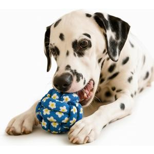 2 x My Pet & Me  Knotted Ball Rope Dog Toy (2.7 Inch)  Dog Chew Toy for Puppies and Small Dogs  Ideal for Fetch, Teething, and Interactive Play