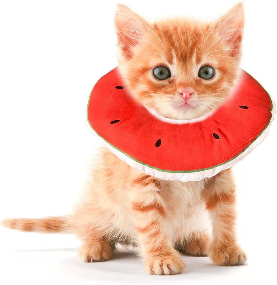 Kitten Cones After Surgery 0-6 Months, Donut Extra Small Kitten Cone Collar Soft to Stop Licking Neck, Elizabethan e Collar for Recovery, xs Small Cat Cone Spray, Pet Soft Cone for Cats Watermelon S
