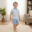 Toddler Baby Boy Summer Clothes Plaid Lapel Short Sleeve T-Shirt Top Shorts Sets Infant Outfit 6 12 18 24 Months (Blue)