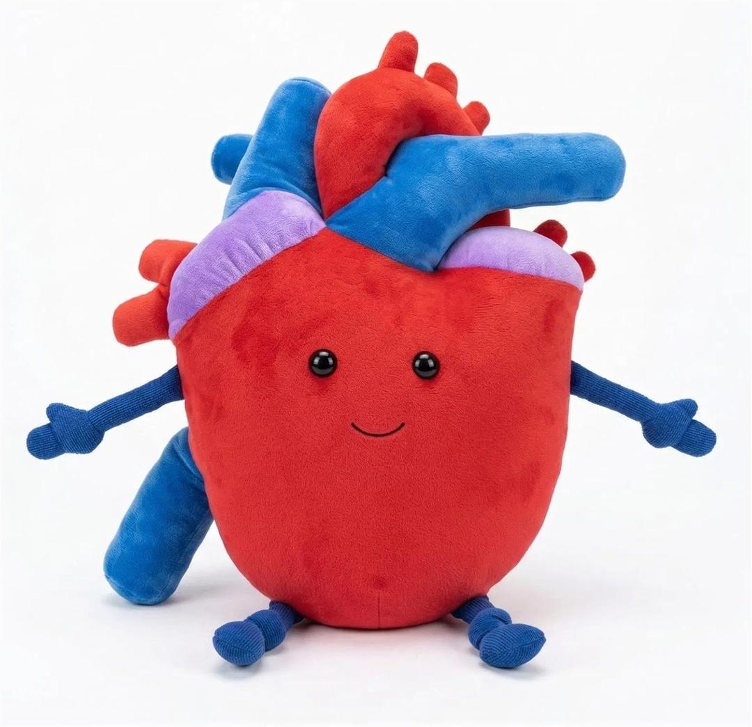 Jumbo 20" Anatomical Heart Plush - Extra Large Human Heart Stuffed Animal & Huggable Pillow - Perfect Open Heart Surgery Recovery Gifts, Cardiology Gifts, and Emotional Support Plush Anatomy Doll