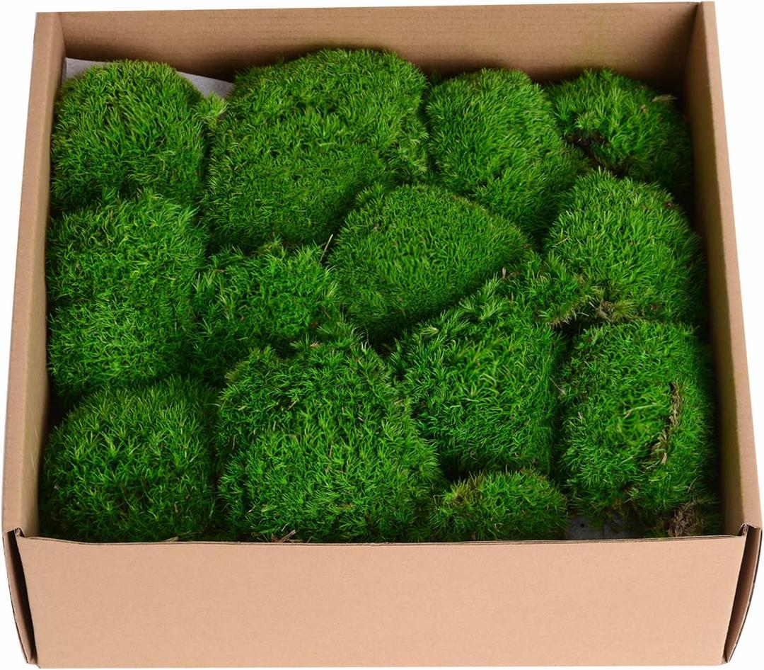 1.5 Sq. Ft. Preserved Moss Pole Decorative Moss for Crafts, Art, Wall Decor (Dark Green)
