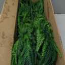 16 Pcs Real Touch Norfolk Pine Branch -18" Artificial Christmas Green Plants Branches Faux Greenery Stem Fake Cedar Pine Picks for Vase DIY Crafts Garland Wreath Xmas Indoor Outdoor Home Decor