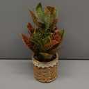 Nubry Fake Plants Artificial Potted Plants with Weaved Pot for Shelf & Table Desk | Perfect for Home Office Bathroom Farmhouse Room Coffee Table Decor 10