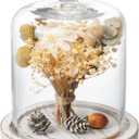 MyGift 7.5 Inch Small Clear Glass Cloche Dome with Shabby White Washed Weathered Solid Wood Tray for Dessert, Cheese and Merchandise Display Case