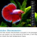 PULACO 25Watt Mini Aquarium Submersible Betta Heater with Free Thermometer Strip for 1-6 Gallon Fish Tanks (Preset Temperature 78)