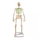 6.5 ft. Grave & Bones Animated LED App Controlled Ultra Skelly with LifeEyes LCD Eyes