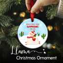 5 x Llama Christmas Ornament - Never Forget How Llamazing You are Ornaments - Funny Motivational Gift for Women, Girls, Friends  Merry Xmas Tree Decoration, Ideas