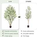 6ft Olive Trees Artificial Indoor, Tall Faux Olive Tree with Realistic Leaves and Lifelike Olives Fruits, Large Fake Silk Plant for Living Room Office Bedroom Balcony Home Decor