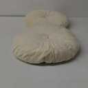 Namalu 2 Pcs Round Throw Pillow 13.8 Inch Decorative Round Velvet Floor Pillows Pumpkin Throw Pillows with Center Button for Thanksgiving Home Decor Living Room Sofa Couch Bed Chair (Cream)