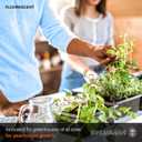 SYLVANIA T8 Gro-Lux Fluorescent Tube 18" Light Bulb, 15W, G12 Bi-Pin Base, 325 Lumens, Non-Dimmable, 5500K  1 Pack (21657), White