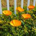 5 Pack Metal Flowers Garden Stake Decor for Outside 25. 2 Inch Metal Flowers Stakes Garden Decorations for Outdoor Yard Patio Lawn Porch Pathway