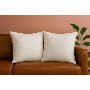 Trendy Home 20x20 Throw Pillow Insert (Set of 2, White) Bed and Couch Pillows Stuffer Hypoallergenic, Decorative Home Indoor Outdoor Sofa Pillow Filler (Non Woven, 2 Pack)