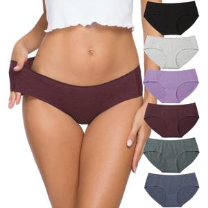 Altheanray Womens Underwear Cotton Underwear for Women Seamless Hipster Bikini Briefs Panties 6 Pack (Medium, Cotton Bikini - B/Lp)