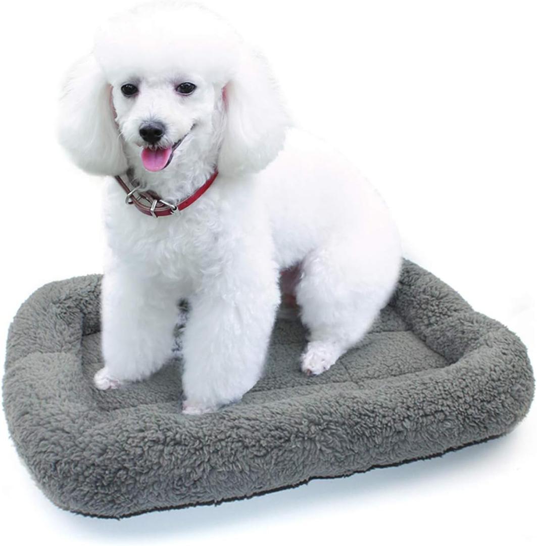 Enjoying Plush Cat Bed Mat, 16" x 22", Self Warming Cat Bed with Pillow Around, Dog Kitty Relying/Curling Sleep Cushion, Warm Bed for Small to Medium Dogs Cats Rabbits, Antiskid Bottom, Medium