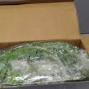 Hoteam 12 Pcs Artificial Hanging Plants 32 Inch Fake Ivy Vines with Fake Leaves Patio Artificial Plants Greenery for Living Room Indoor Outdoor Wall, No Basket (Pothos,Persian Grass)