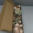 Floroom 6pcs Beige Faux Silk Mums Artificial Flowers, Bulk Fake Small Mini Chrysanthemums with Stems for DIY Champagne Wedding Centerpieces Floral Arrangements Vase Fillers Home Decorations