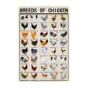 Breeds Of Chicken Vintage Metal Tin Signs World Education Science Classroom Chart Retro Wall Decor Wall Art Funny Posters Gifts 8x12 Inch + Chicken Warning Poster Etc.