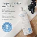 Veterinary Formula Flea and Tick Shampoo for Dogs and Cats, 16 oz