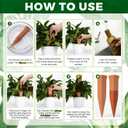 Ferrochef 12 Pcs 17oz 25oz 34oz Plant Watering Devices 6 Terracotta Self Watering Spikes 6 Plastic Bottles Slow Release Vacation Planter Insert Automatic Water System for Indoor Outdoor Potted Plant