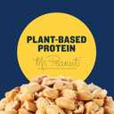 Planters Salted Peanuts 10 ct Box, 1 oz Packs, Pack of 6 (EXP 09/29/26)