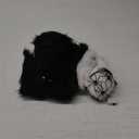 3-in-1 Large Halloween Spider Decorations Set, 50" Huge Spider Hanging with 20" Light Up Spider Egg Totally 36 LEDs Lights Battery Operated Fake Spiders Halloween Decors for Yard Home Party