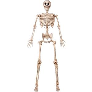 JOYIN 6.9 FT Halloween Posable Life Size Skeleton, Full Body Realistic Skeleton Bones with Movable Joints for Halloween Indoor Outdoor Party Decoration, Spooky Scene Prop, Haunted House Decor