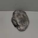 RENERSHOW Short Grey Curly Wigs for White Women Sliver Gray Synthetic Wig with Bangs Full Puffy Curly Grey Short Wig