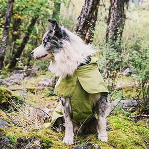 Dog Raincoat Green 2X-Large