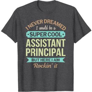 Assistant Principal Gift Funny Appreciation T-Shirt, Small