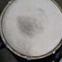 Maharaja Musicals Dholak Drum, Mango Wood, Bolt-tuned, Padded Bag, Spanner, Dholki Musical Instrument (PDI-AJD)