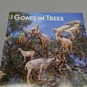 BrownTrout, Goats in Trees 2026 Wall Calendar