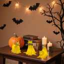 Halloween Decor Indoor, Set of 3 Draped Ghost Dog Figurines, Light-Up Halloween Decorations, Ghost Decor for Home Party Display