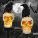 Retisee 2 Pcs Halloween Garden Decor Solar Skull Lights with Black Crow on Skull Waterproof Solar Skeleton Lights Outdoor LED Light up Skeletons Halloween Outdoor Decor for Garden Pathway Lawn Yard