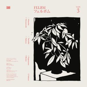 Tape 3/Tape 4, Vinyl