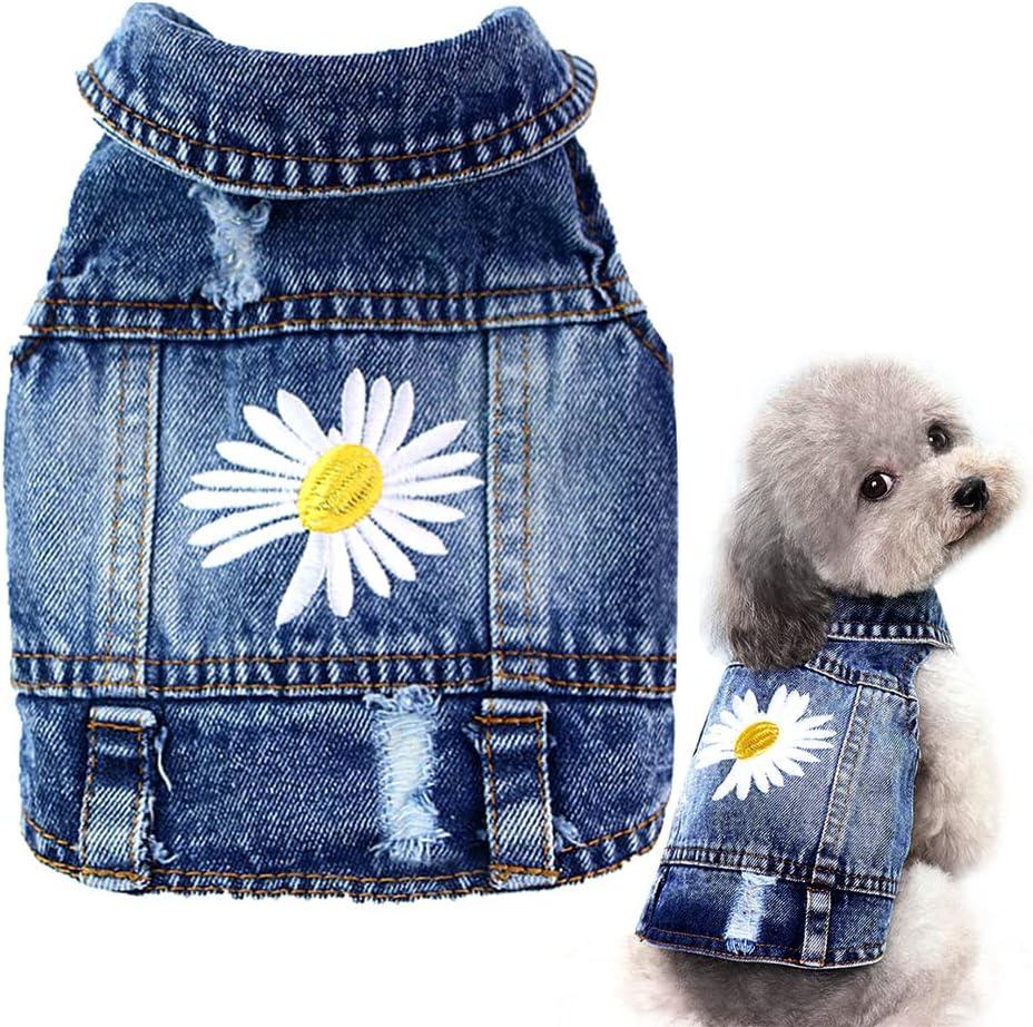 Pawstrip Dog Denim Jacket with Embroidered Daisy, Ripped Vintage Jean Vest for Small Dogs, Pugs, Chihuahuas, Spring Summer Fall Festival Outfit, Large (Fits Chest 15-16"), Large (9-12 lbs)