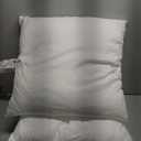 MIULEE 20 x 20 Pillow Inserts (Set of 2) -Throw Pillows for Couch Sofa with 100% Cotton Covers