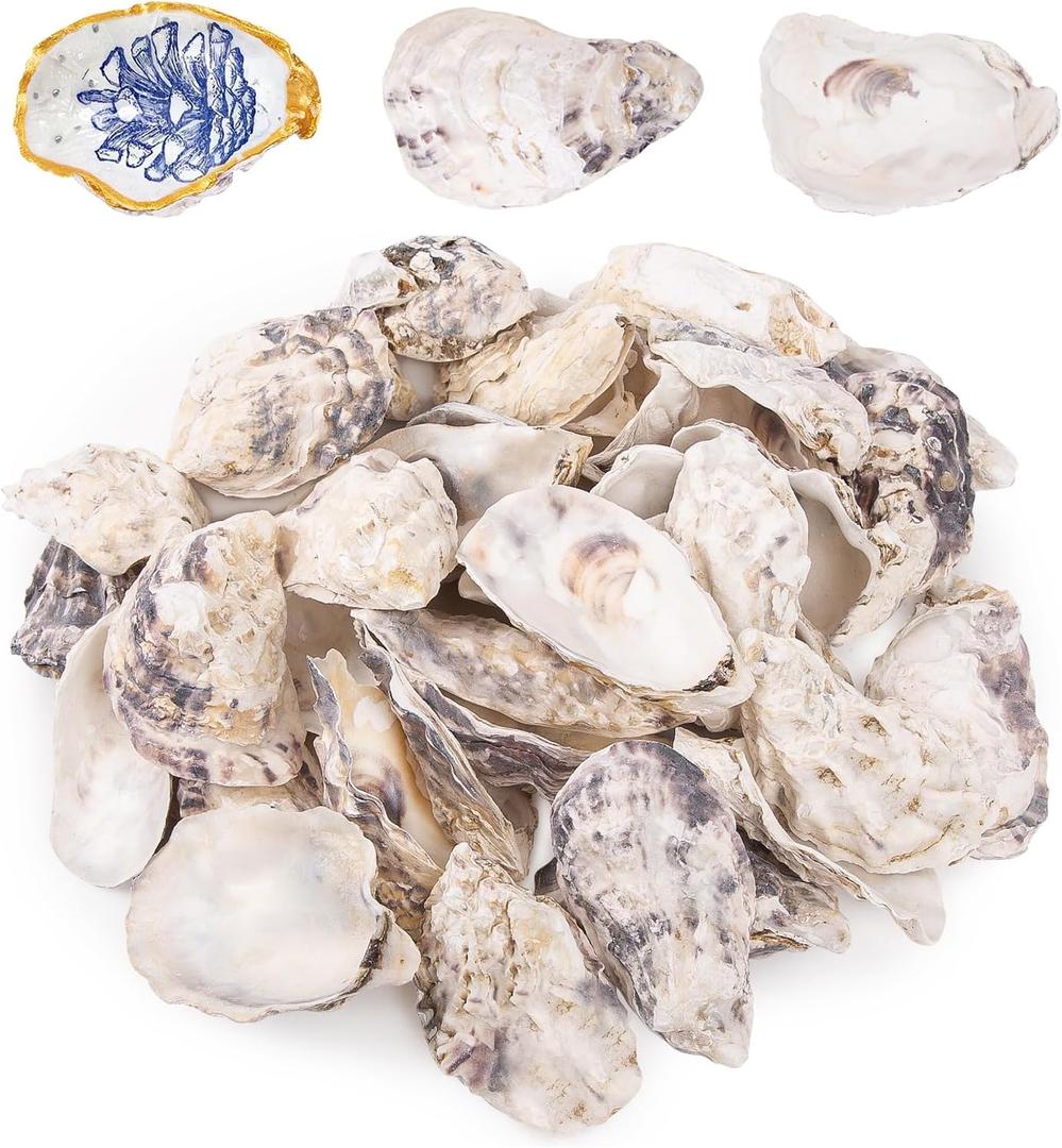 QEQEKAKA 25PCS Oyster Shells 3"-4" Concave Oyster Shells for Crafts Natural Oyster Shells Bulk, for Home Vase Filler, Xmas Ornaments, DIY Arts and Crafts Sea Shells