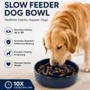 Slow Feeder Dog Bowls, Ceramic Slow Feeding Bowl for Small and Medium Breed, Anti Choking Puzzle Dog Food Bowl with Non-Slip Base for Fast Eater (Blue, S-0.6CUP)