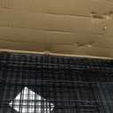 MidWest Homes for Pets Medium Wabbitat Rabbit Cage, Grid Mesh Floor, Removable Tray, Top & Front Door Access, Rust Resistant Finish, No Tools Required (37.0"L x 19.0"W x 20.0"H, Black)