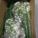 Waipfaru 30 Pcs Babys Breath Artificial Flowers, Baby Breath Flowers Artificial Bulk, Real Touch White Fake Flowers, Faux Babies Breath Gypsophila for Wedding Home Decor Floral Arrangement