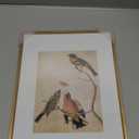 8x10 Picture Frame, Brass Aluminum Metal Photo Frames with HD Glass, Fits 5x7 with Mat or 8 x 10 without Mat, Display for Wall and Table