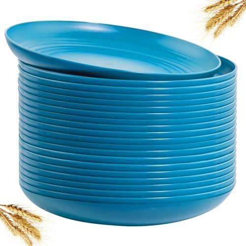 LIYH 20 Pcs Blue Wheat Straw Plastic Plates - 9 Inch Unbreakable Dinner Plates Reusable, Dishwasher & Microwave Safe, Camping Outdoor Plates