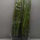 Artificial Plant, 47in Tall, 2pk Grass, Faux House Plants in Pot, Indoor Decorative Flowers &Greenery for Home and Office, Ideal Housewarming Gift