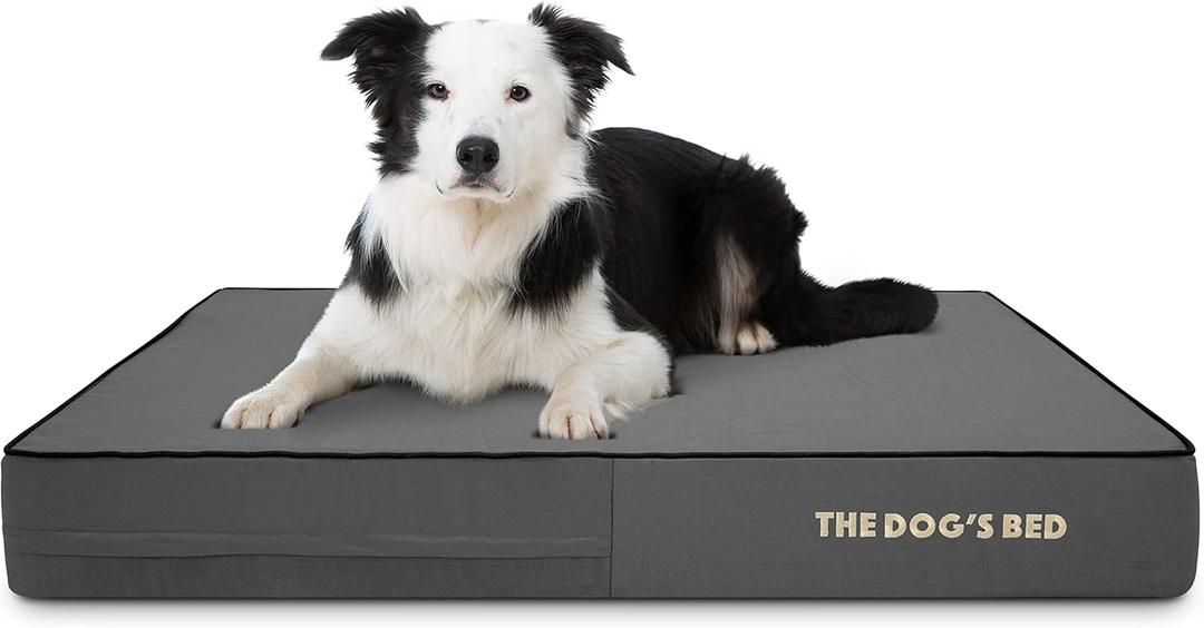 The Dogs Bed Orthopedic Memory Foam Dog Bed, Large Grey & Black, Waterproof, Supportive Dog Bed with Replaceable Covers (Large (6" deep))