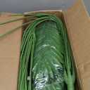 SAJANDAS Set of 2 Artificial Areca Palm Plants in Pots, 51 Inch Fake Tropical Palm Trees with Greenery Leaves and Stems, Faux Dypsis Lutescens Floor Plants for Office, Store, Garden, Home Decoration