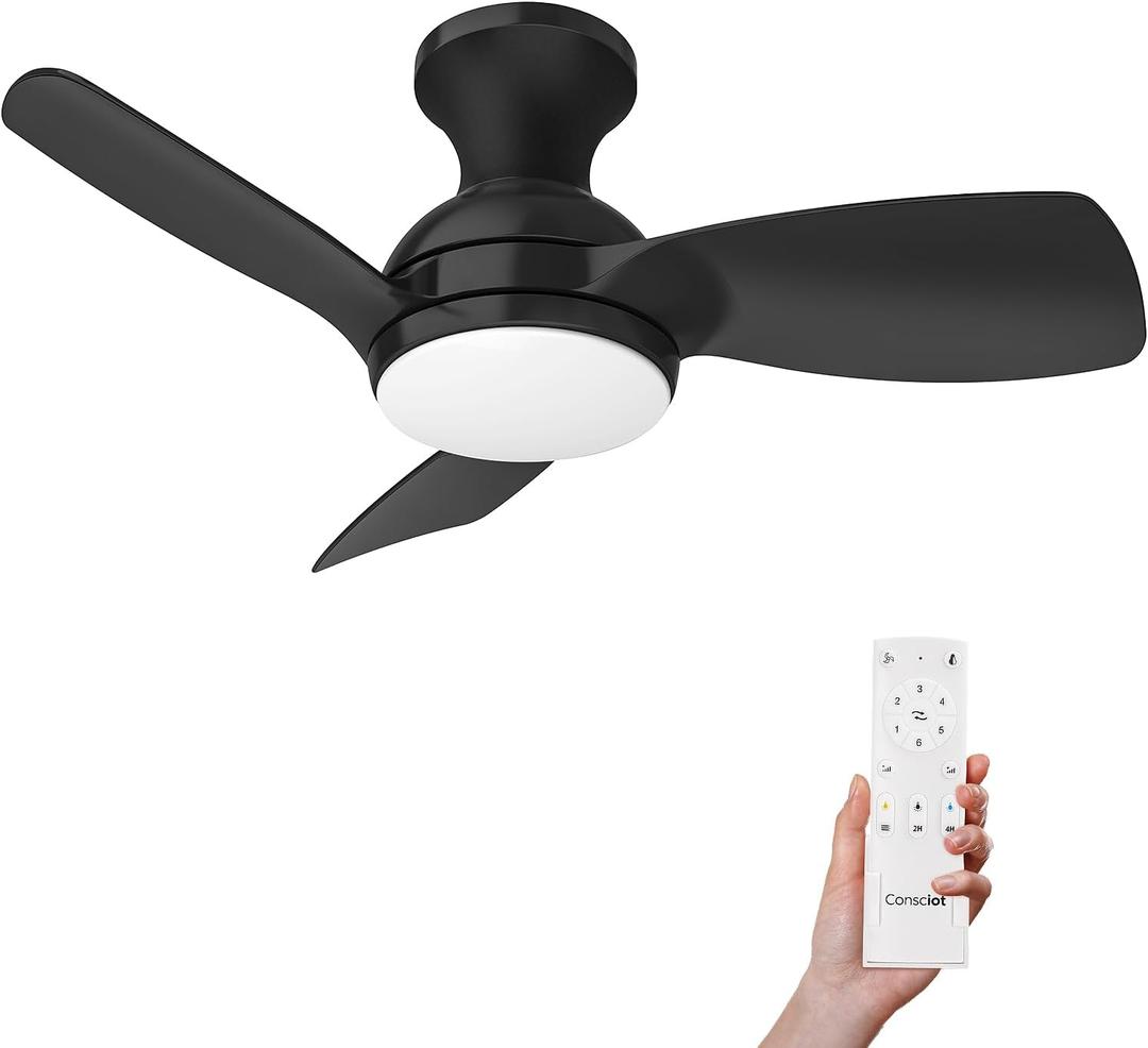 Consciot Ceiling Fan With Lights 30 Inch, Kids Ceiling Fan Black Modern, Flush Mount, Reversible Quiet DC Motor, 6 Speed, Dimmable, Kitchen Bedroom Patio